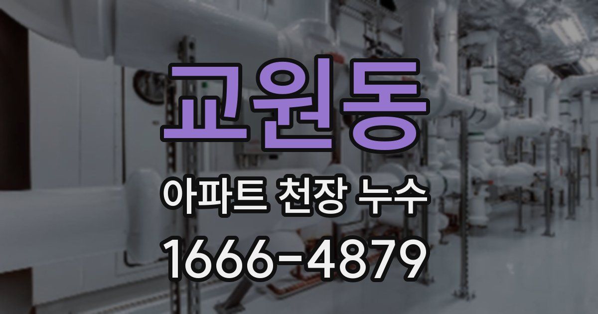교원동 아파트 천장 누수