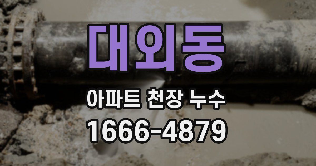 대외동 아파트 천장 누수