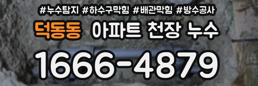 덕동동 아파트 천장 누수