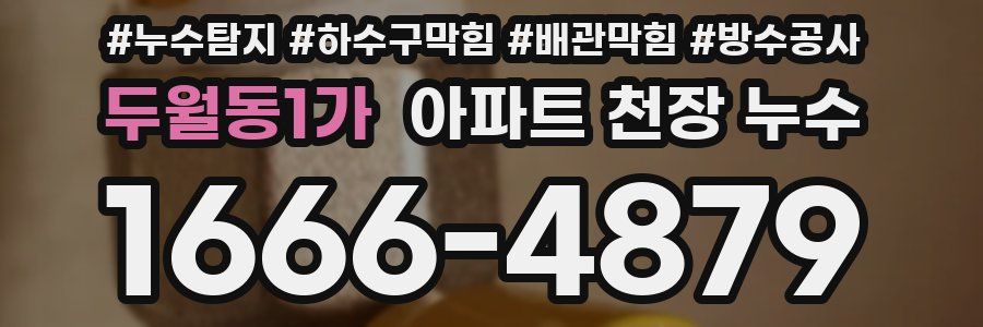 두월동1가 아파트 천장 누수