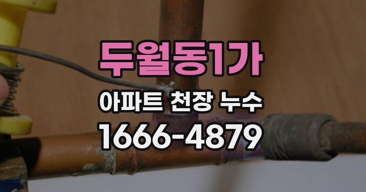 두월동1가 아파트 천장 누수