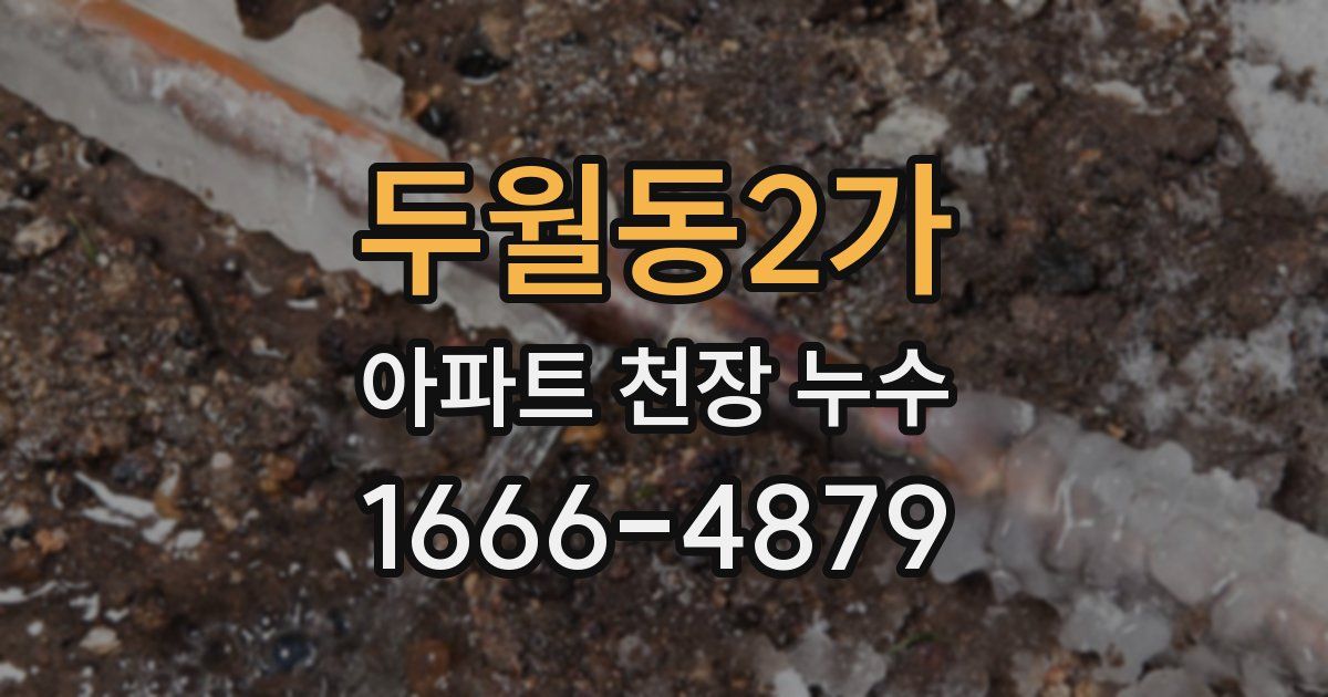 두월동2가 아파트 천장 누수