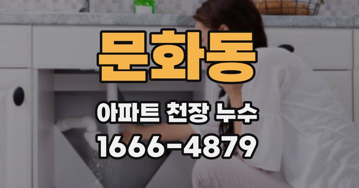 문화동 아파트 천장 누수