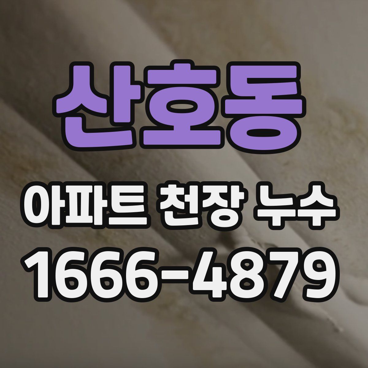 산호동 아파트 천장 누수