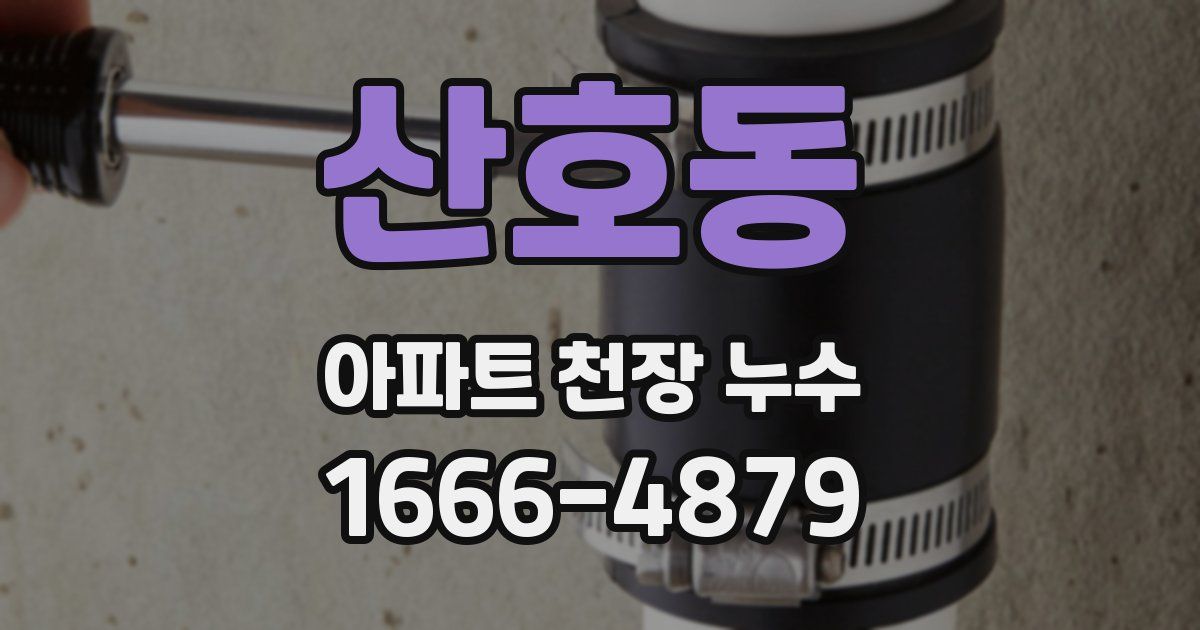 산호동 아파트 천장 누수