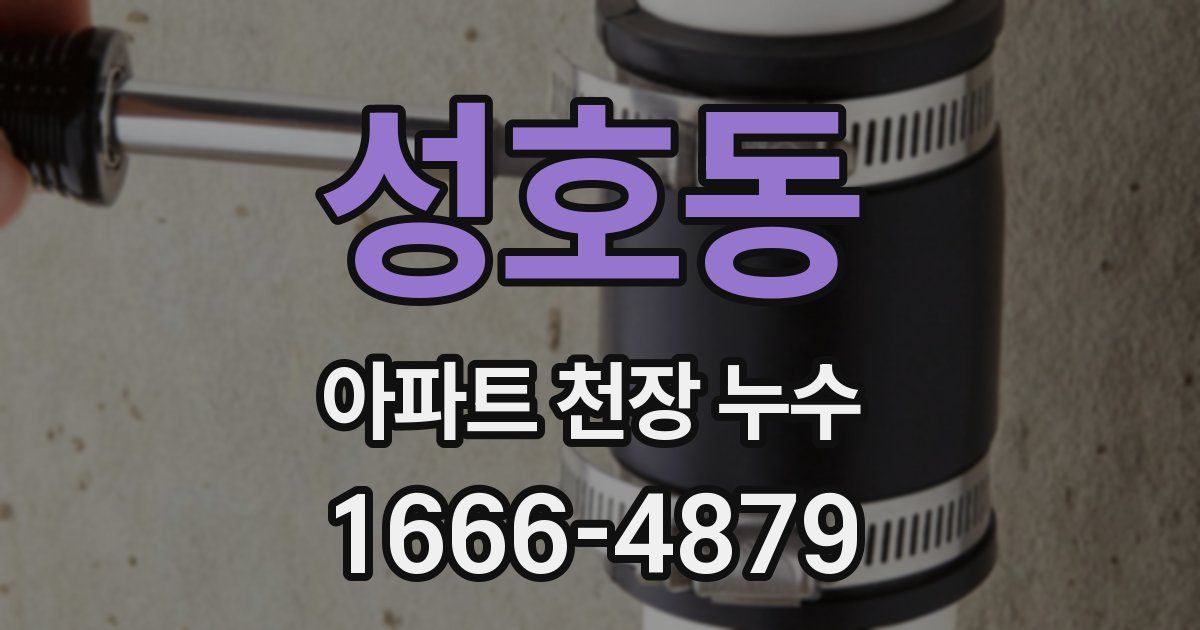 성호동 아파트 천장 누수