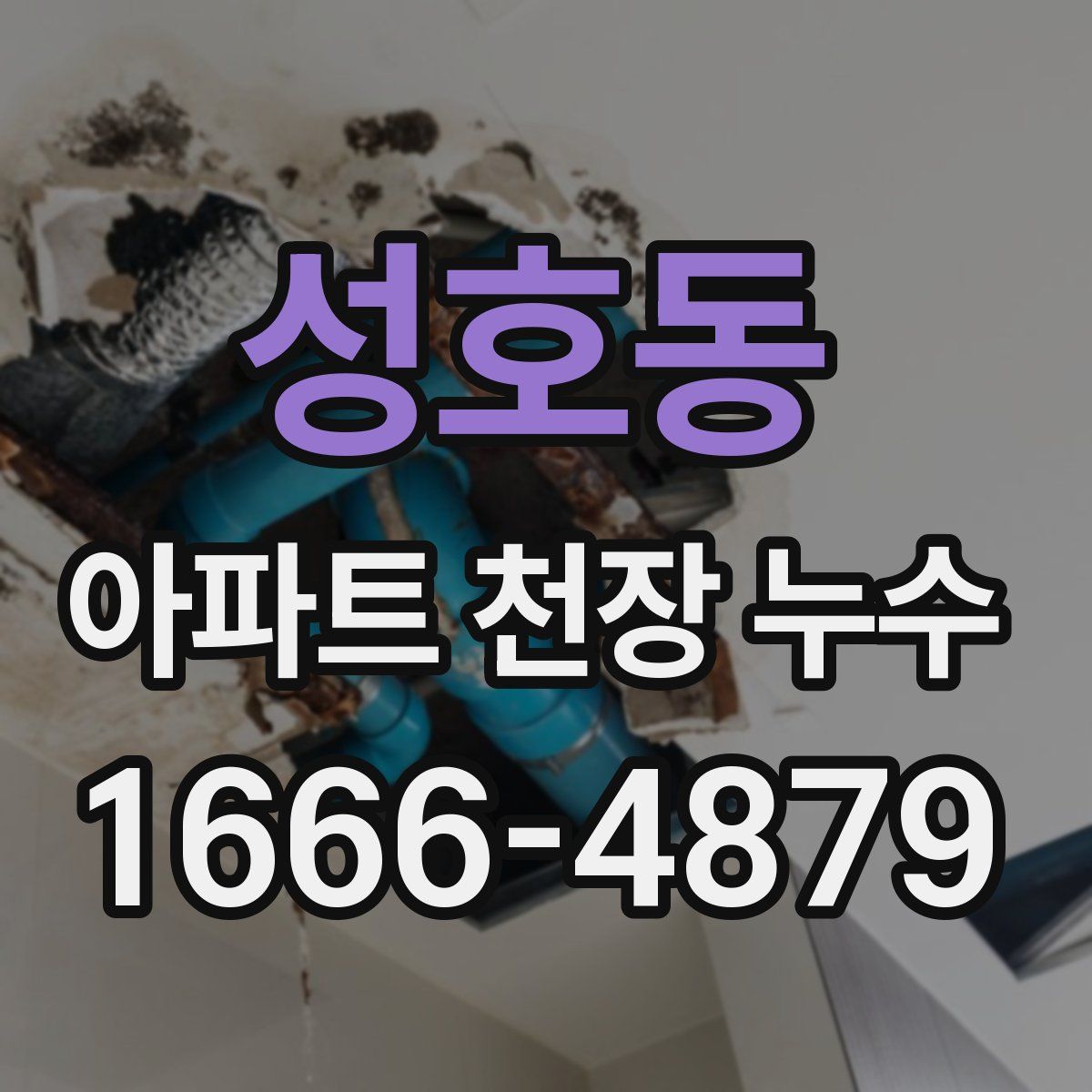 성호동 아파트 천장 누수