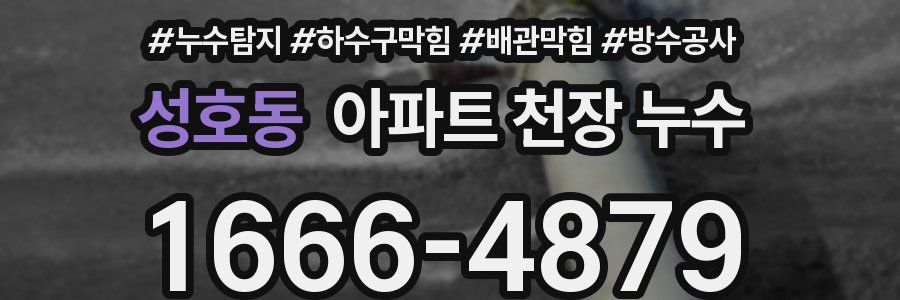 성호동 아파트 천장 누수