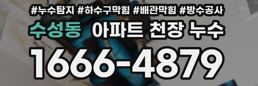 수성동 아파트 천장 누수