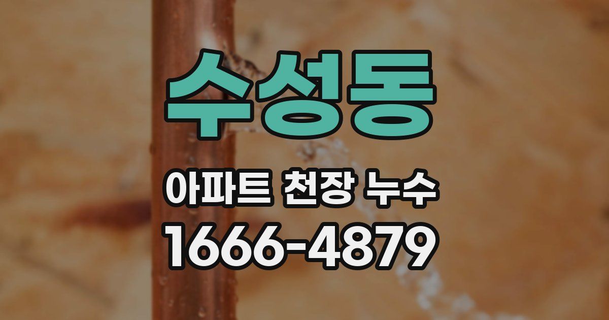 수성동 아파트 천장 누수