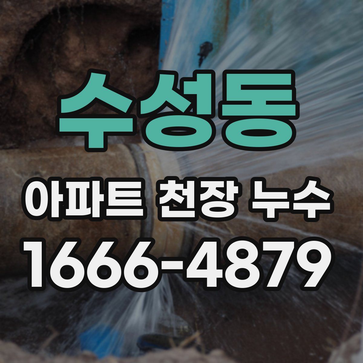 수성동 아파트 천장 누수