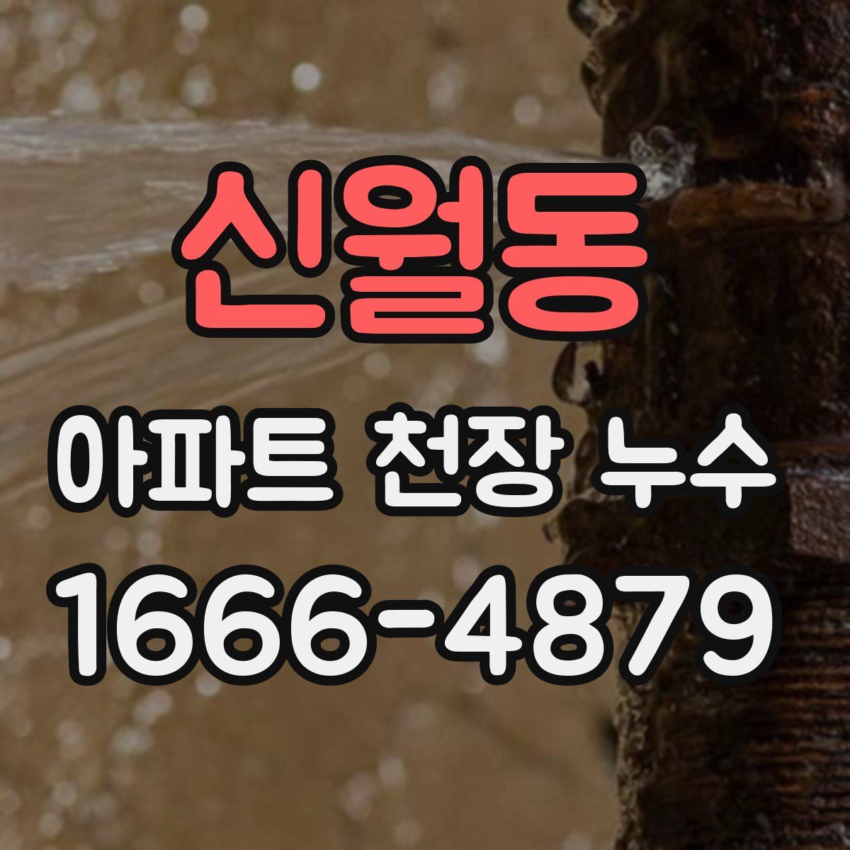 신월동 아파트 천장 누수