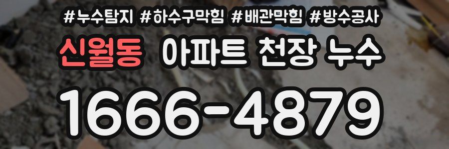 신월동 아파트 천장 누수
