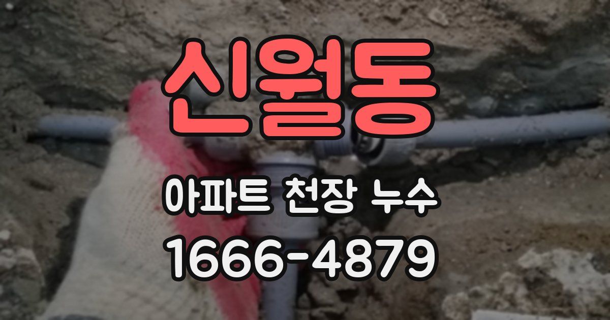 신월동 아파트 천장 누수