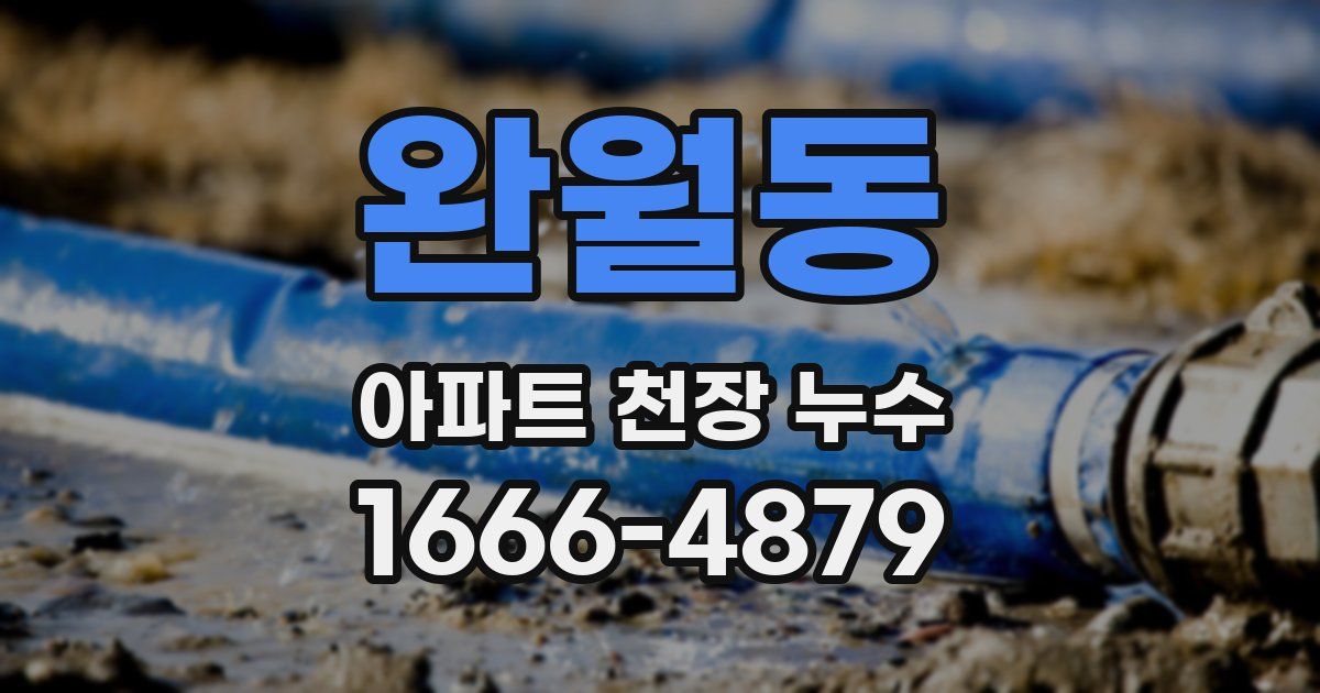 완월동 아파트 천장 누수