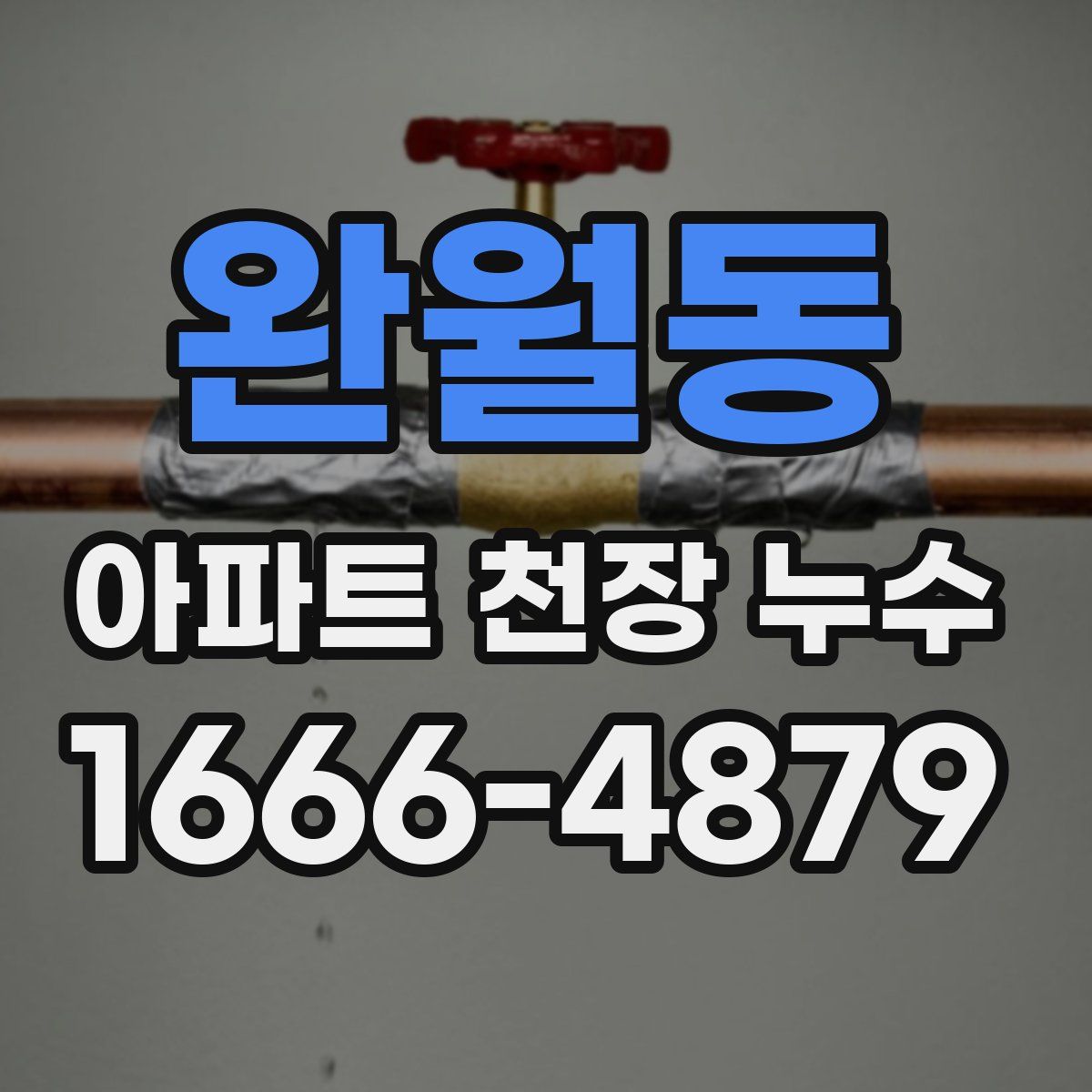 완월동 아파트 천장 누수