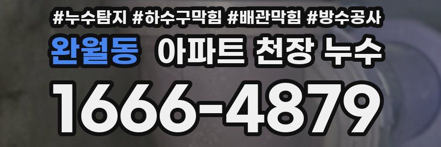 완월동 아파트 천장 누수