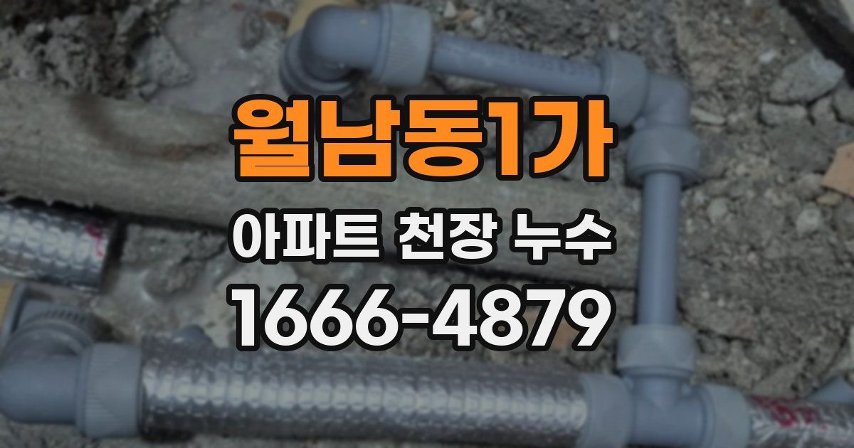 월남동1가 아파트 천장 누수