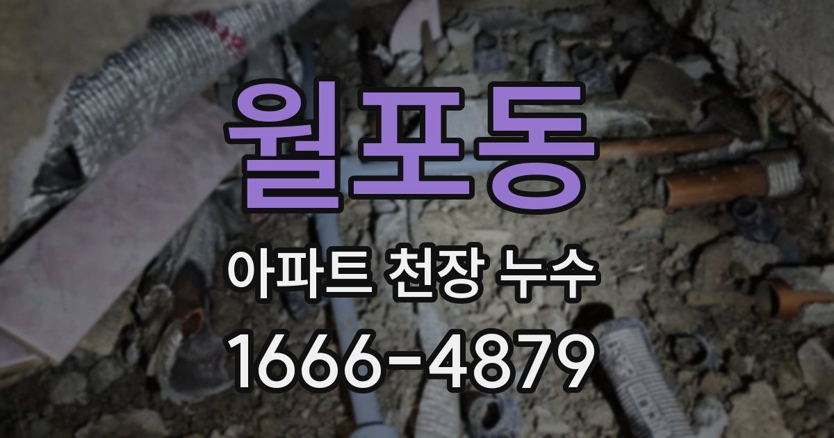 월포동 아파트 천장 누수