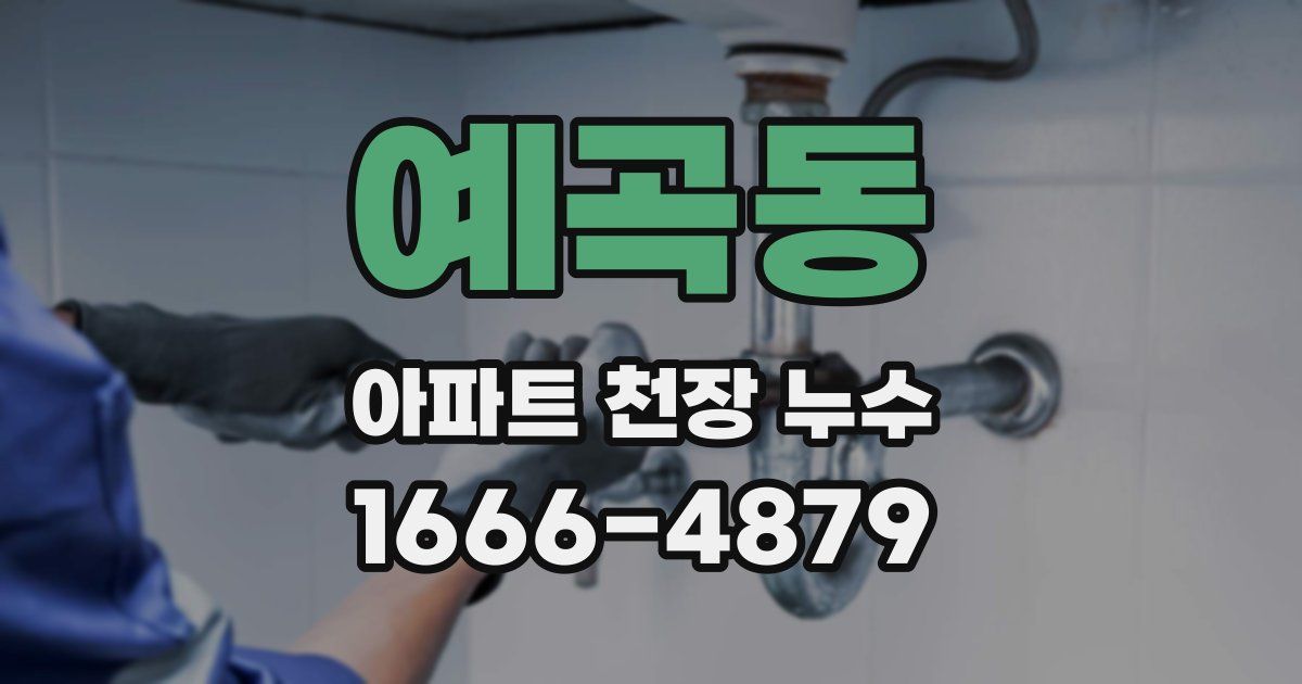 예곡동 아파트 천장 누수