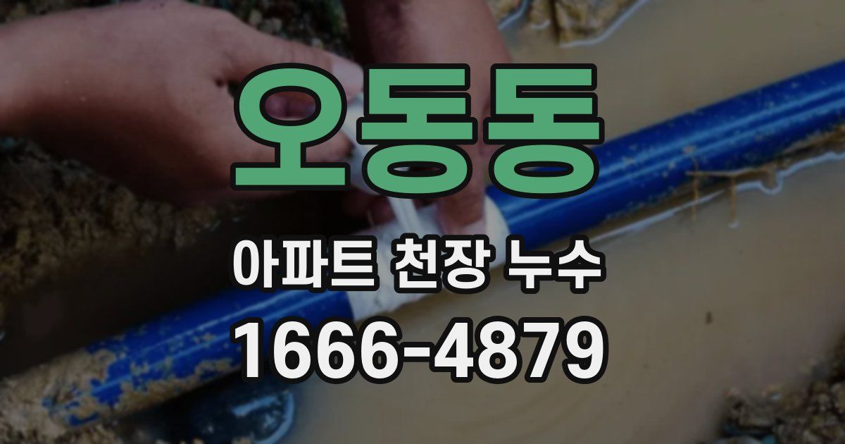 오동동 아파트 천장 누수