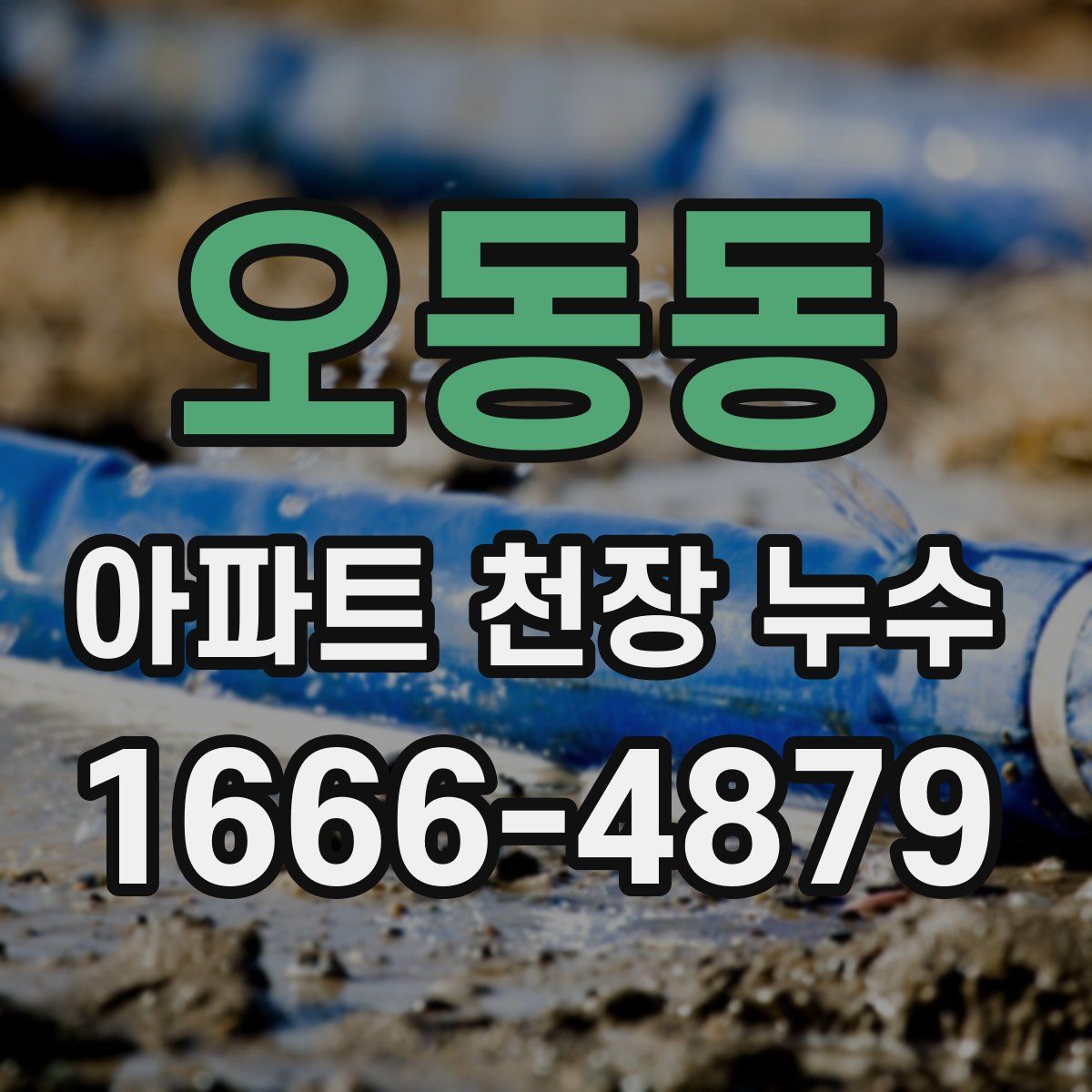 오동동 아파트 천장 누수