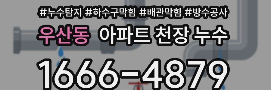 우산동 아파트 천장 누수