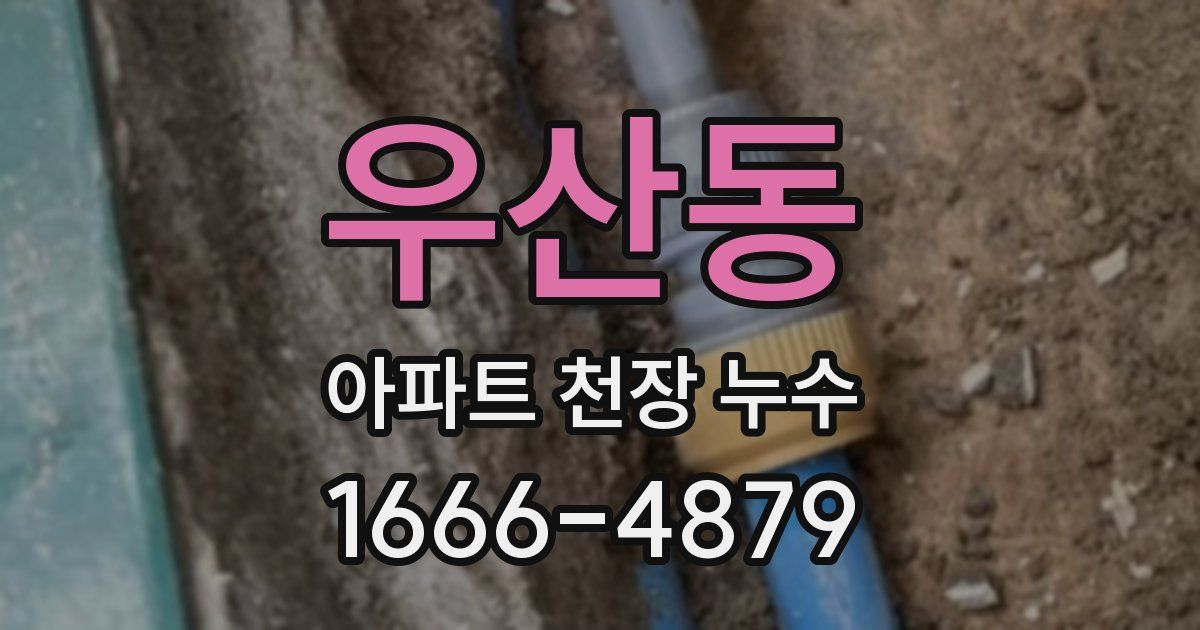 우산동 아파트 천장 누수