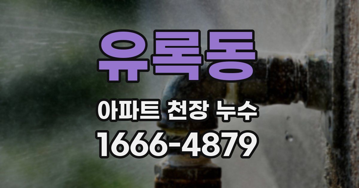 유록동 아파트 천장 누수
