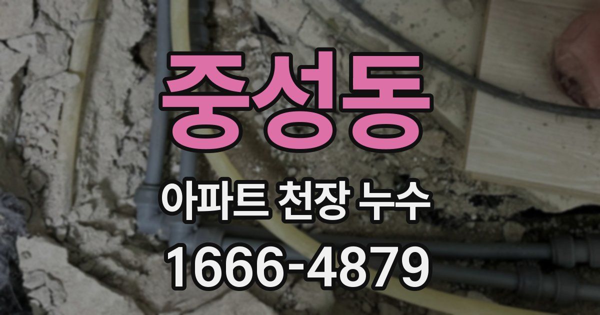 중성동 아파트 천장 누수