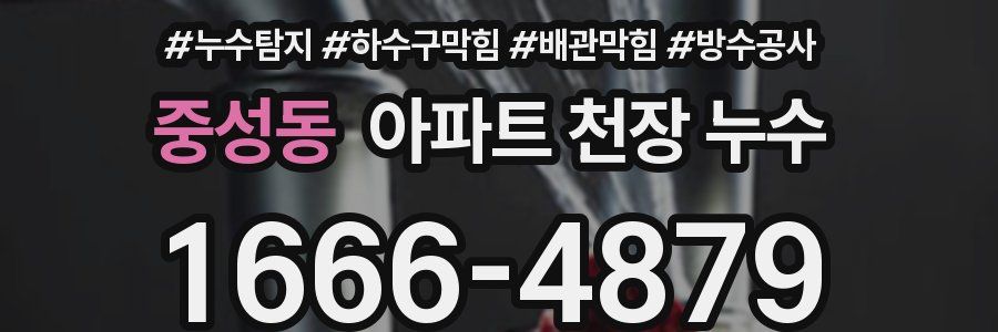 중성동 아파트 천장 누수