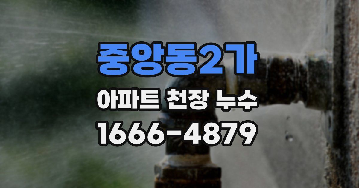 중앙동2가 아파트 천장 누수