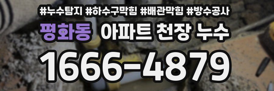 평화동 아파트 천장 누수