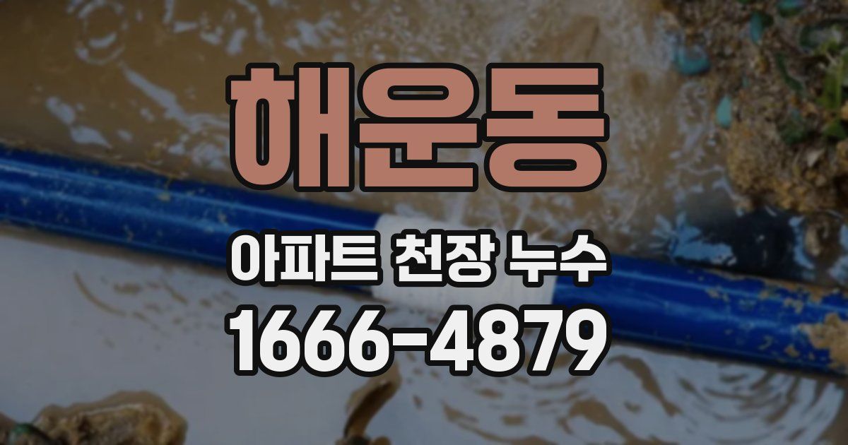 해운동 아파트 천장 누수