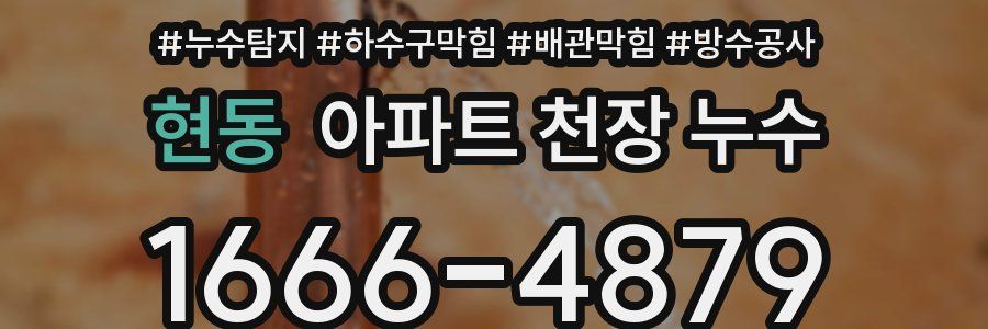현동 아파트 천장 누수