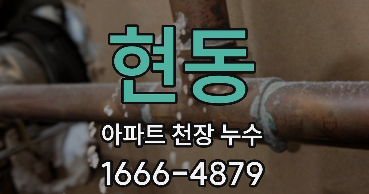 현동 아파트 천장 누수