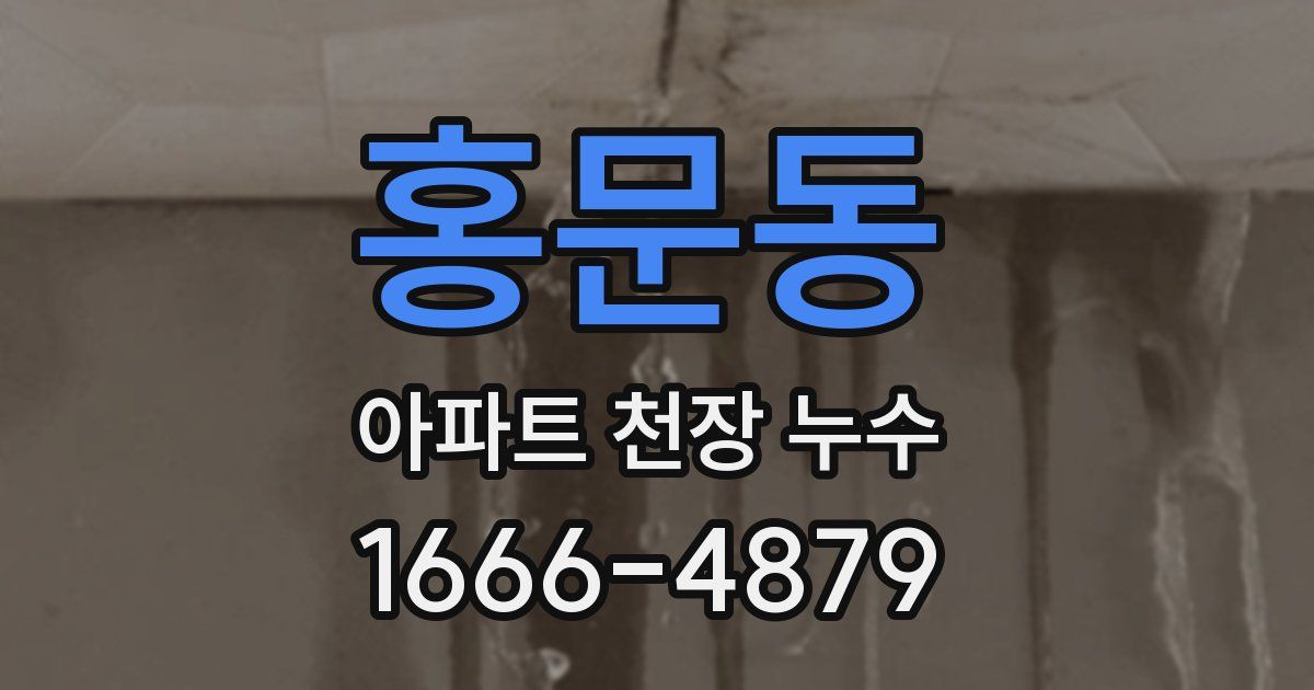 홍문동 아파트 천장 누수