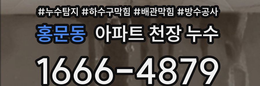 홍문동 아파트 천장 누수