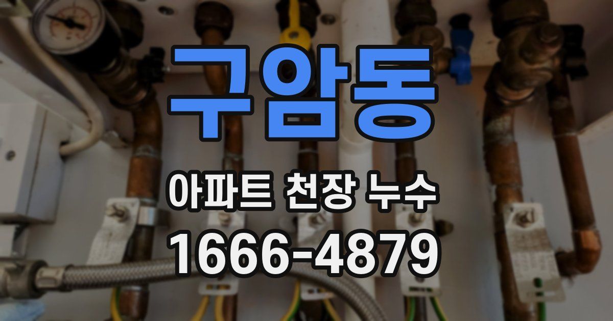 구암동 아파트 천장 누수