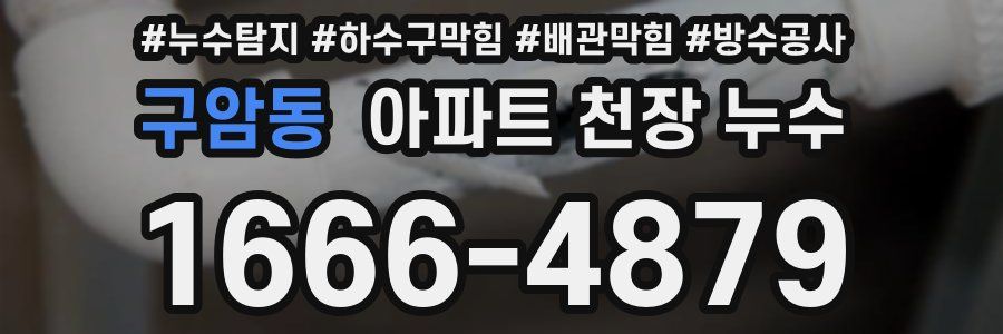 구암동 아파트 천장 누수