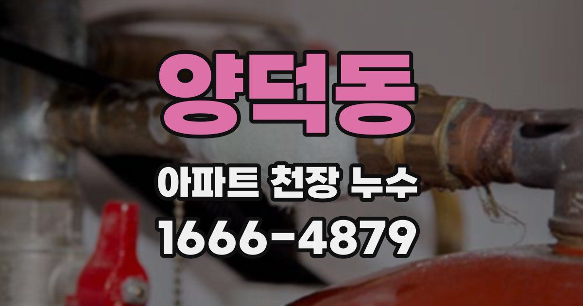 양덕동 아파트 천장 누수