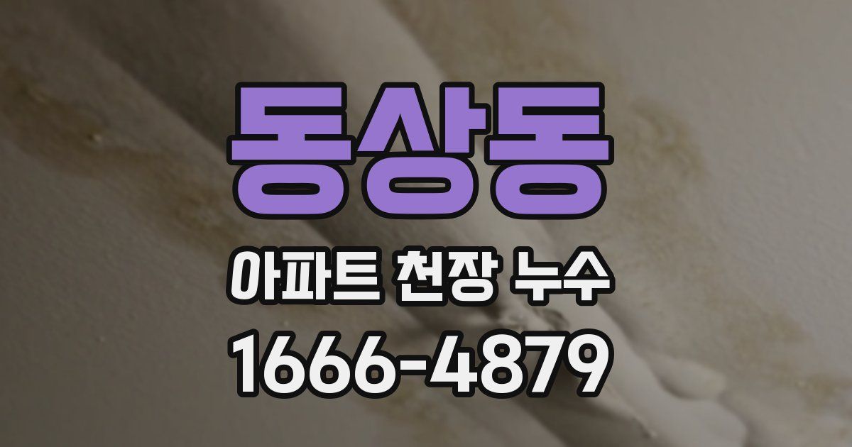 동상동 아파트 천장 누수