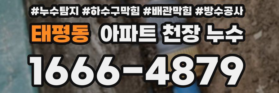 태평동 아파트 천장 누수