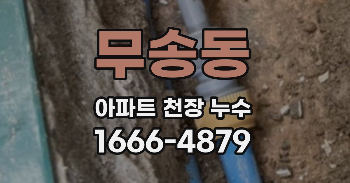 무송동 아파트 천장 누수