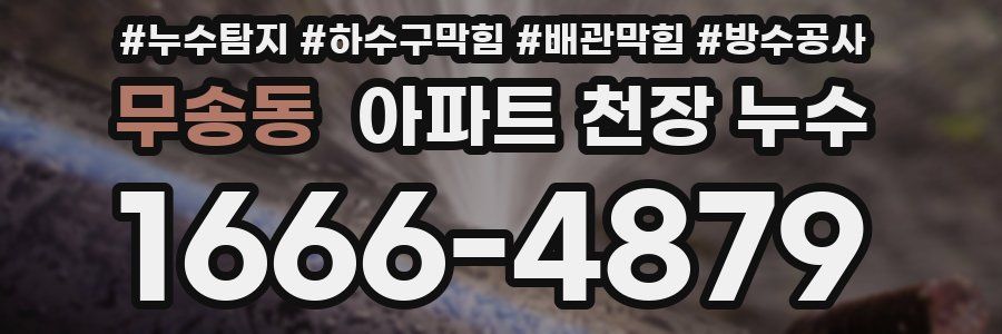 무송동 아파트 천장 누수