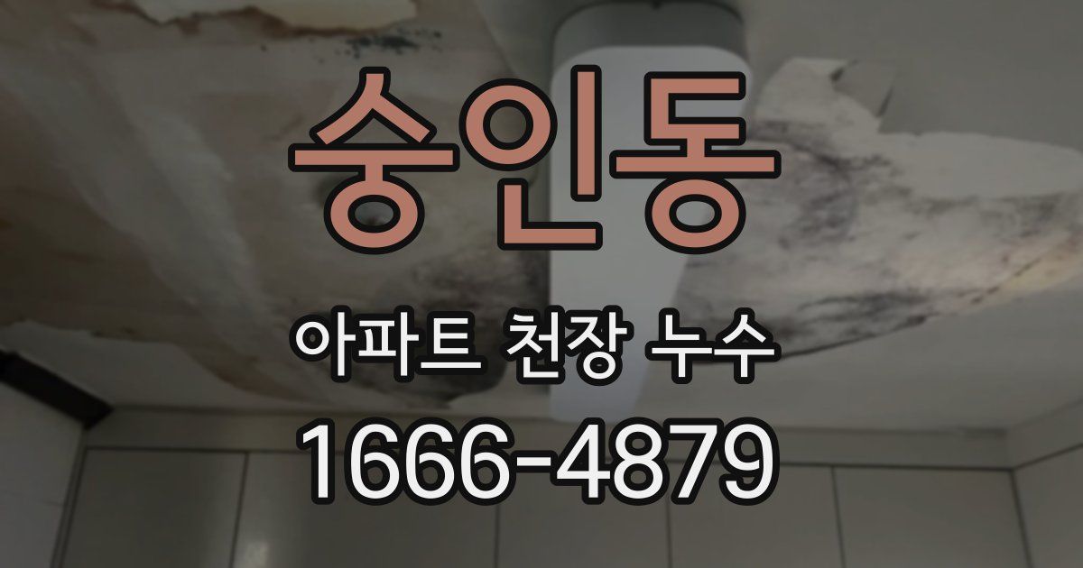 숭인동 아파트 천장 누수