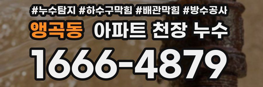 앵곡동 아파트 천장 누수