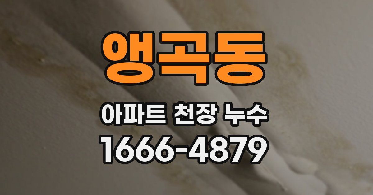 앵곡동 아파트 천장 누수