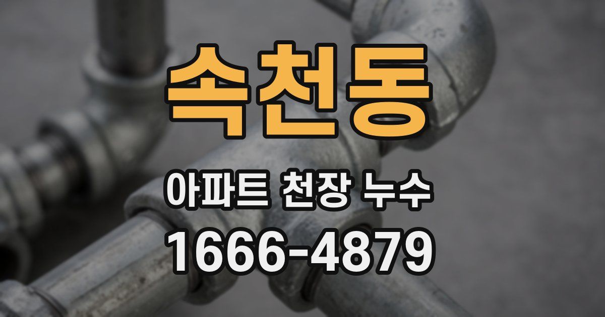속천동 아파트 천장 누수