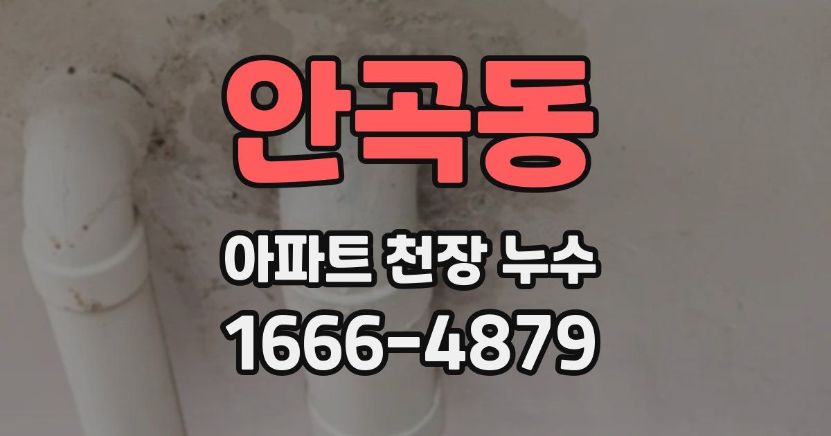 안곡동 아파트 천장 누수
